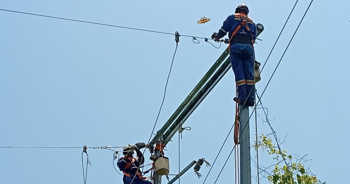 Dos técnicos de la empresa Enel Colombia trabajan en postes de electricidad con equipos de seguridad bajo un cielo despejado